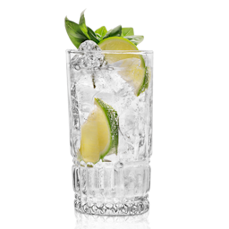 image of Gin & Tonic cocktail